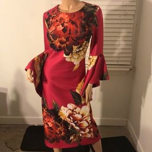 Bell sleeved dress by New York and Company: XL